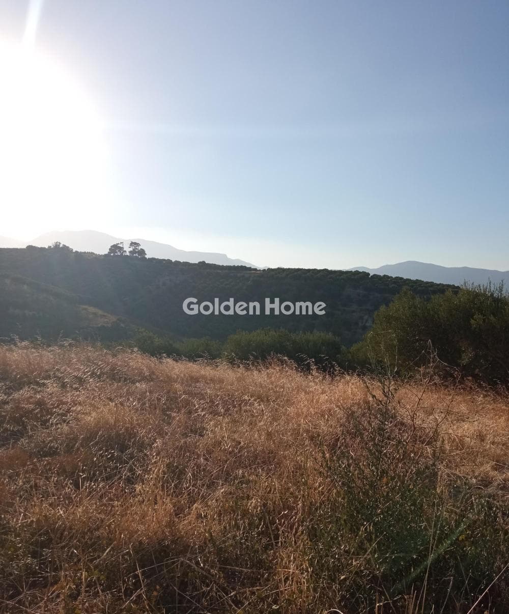 Building Plot in Athanatoi, Temenos — Photo 6 of 11