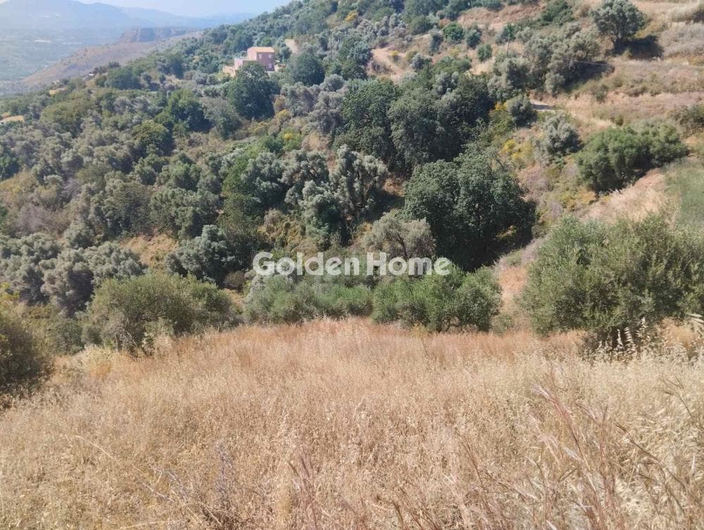 Αγροτεμάχιο στην Ρογδιά, Γάζι — Φωτογραφία 1 από 4