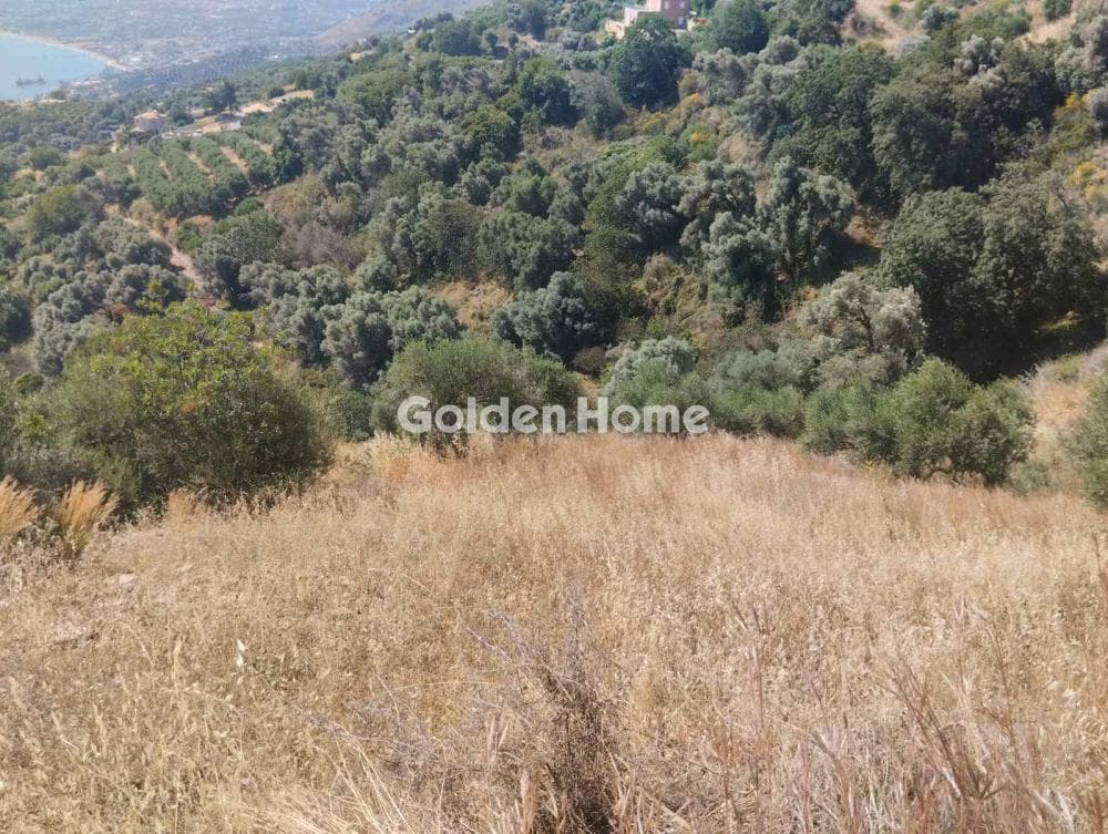 Αγροτεμάχιο στην Ρογδιά, Γάζι — Φωτογραφία 2 από 4