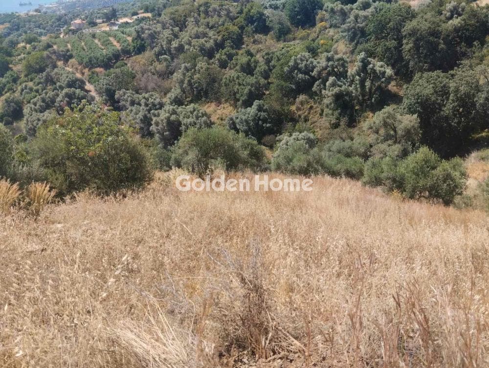 Αγροτεμάχιο στην Ρογδιά, Γάζι — Φωτογραφία 3 από 4