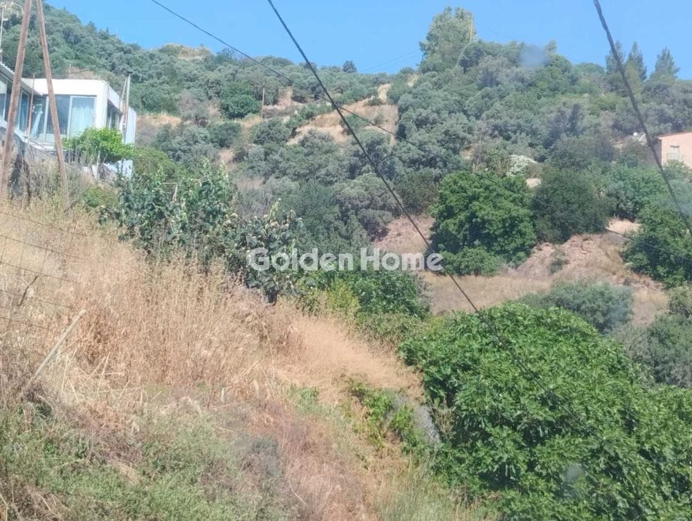 Αγροτεμάχιο στην Ρογδιά, Γάζι — Φωτογραφία 4 από 4
