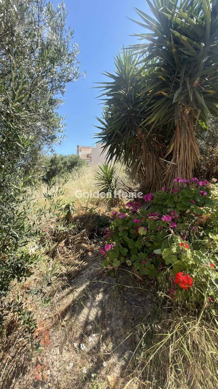 Building Plot in Agios Ioannis Knossou, Heraclion Cretes — Photo 1 of 17