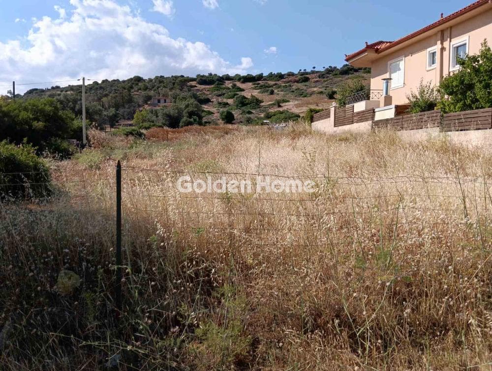 Αγροτεμάχιο στην Λαμπρικά, Κορωπί — Φωτογραφία 1 από 8