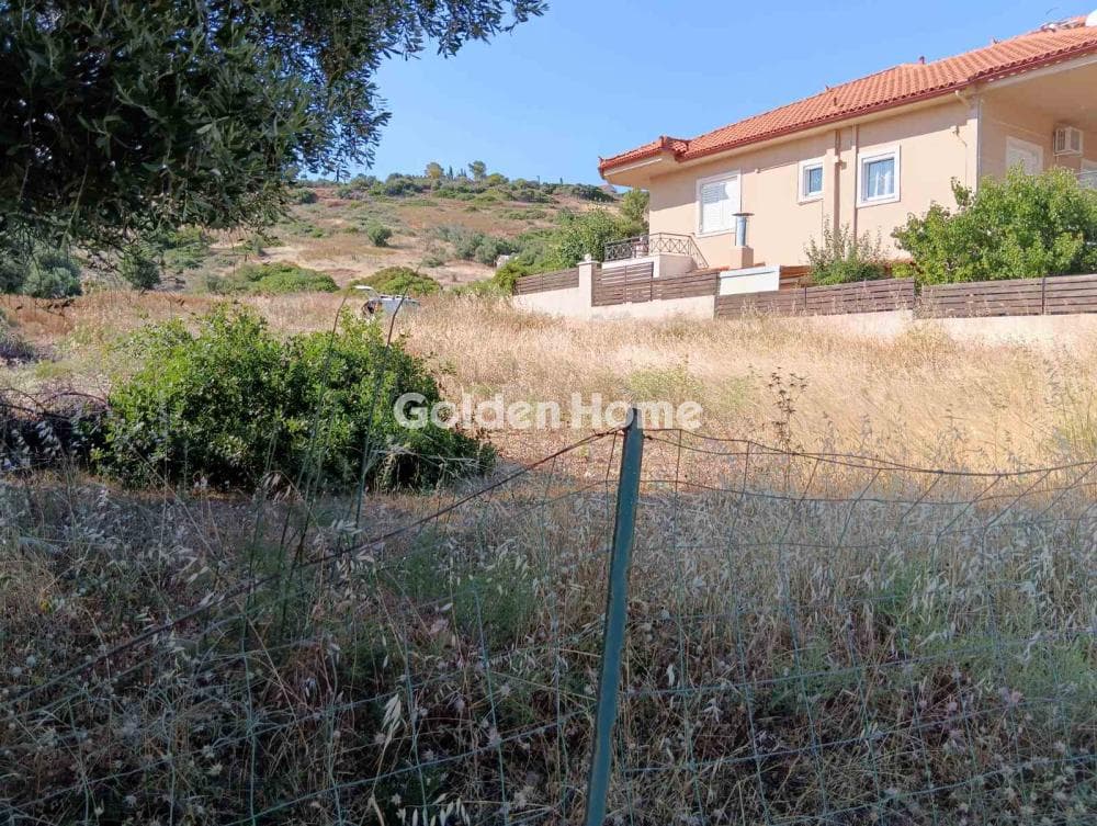Αγροτεμάχιο στην Λαμπρικά, Κορωπί — Φωτογραφία 2 από 8