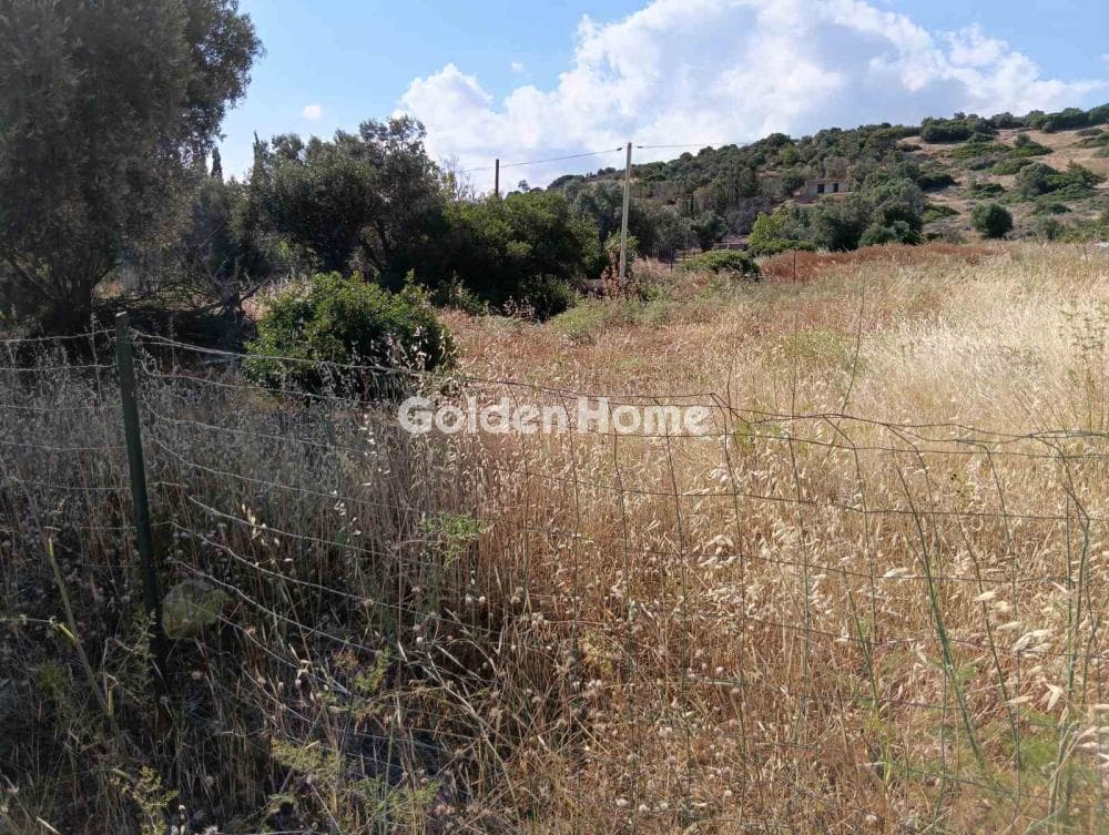 Αγροτεμάχιο στην Λαμπρικά, Κορωπί — Φωτογραφία 3 από 8