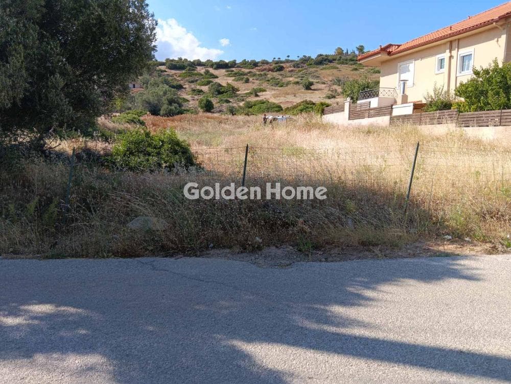 Αγροτεμάχιο στην Λαμπρικά, Κορωπί — Φωτογραφία 4 από 8