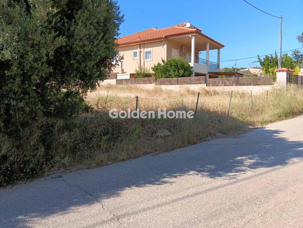 Αγροτεμάχιο στην Λαμπρικά, Κορωπί — Φωτογραφία 5 από 8