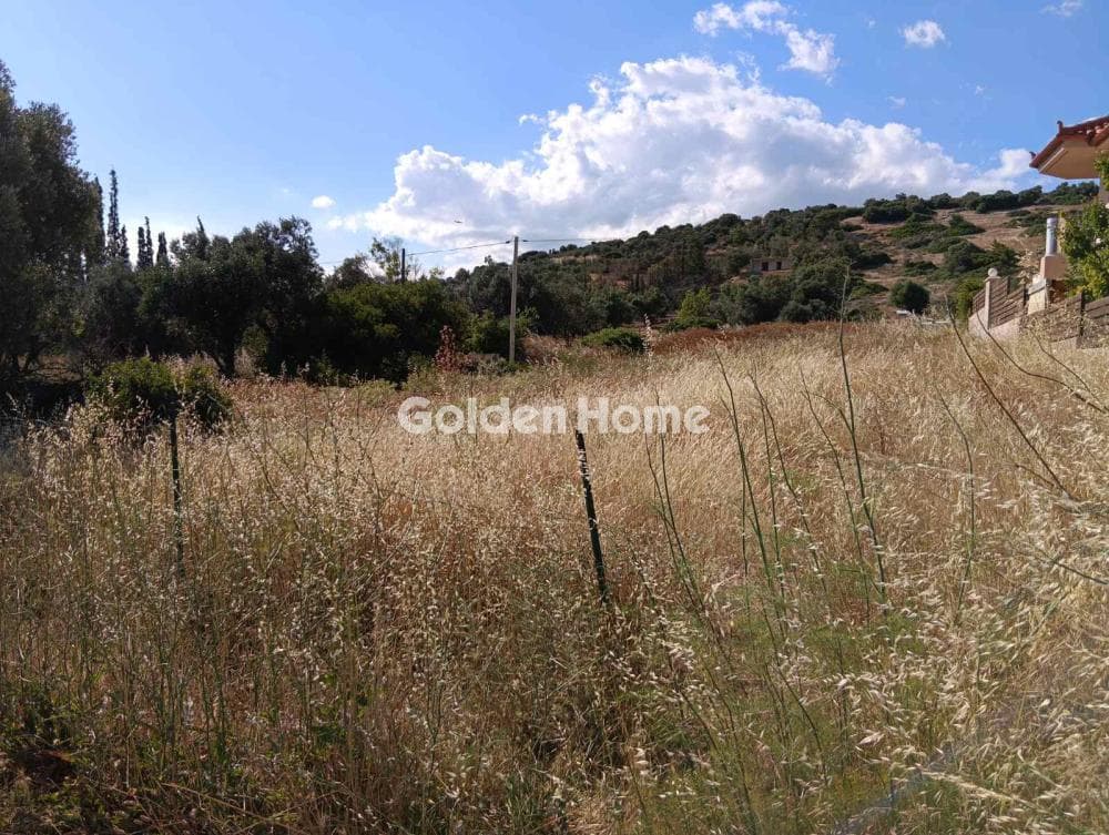 Αγροτεμάχιο στην Λαμπρικά, Κορωπί — Φωτογραφία 6 από 8