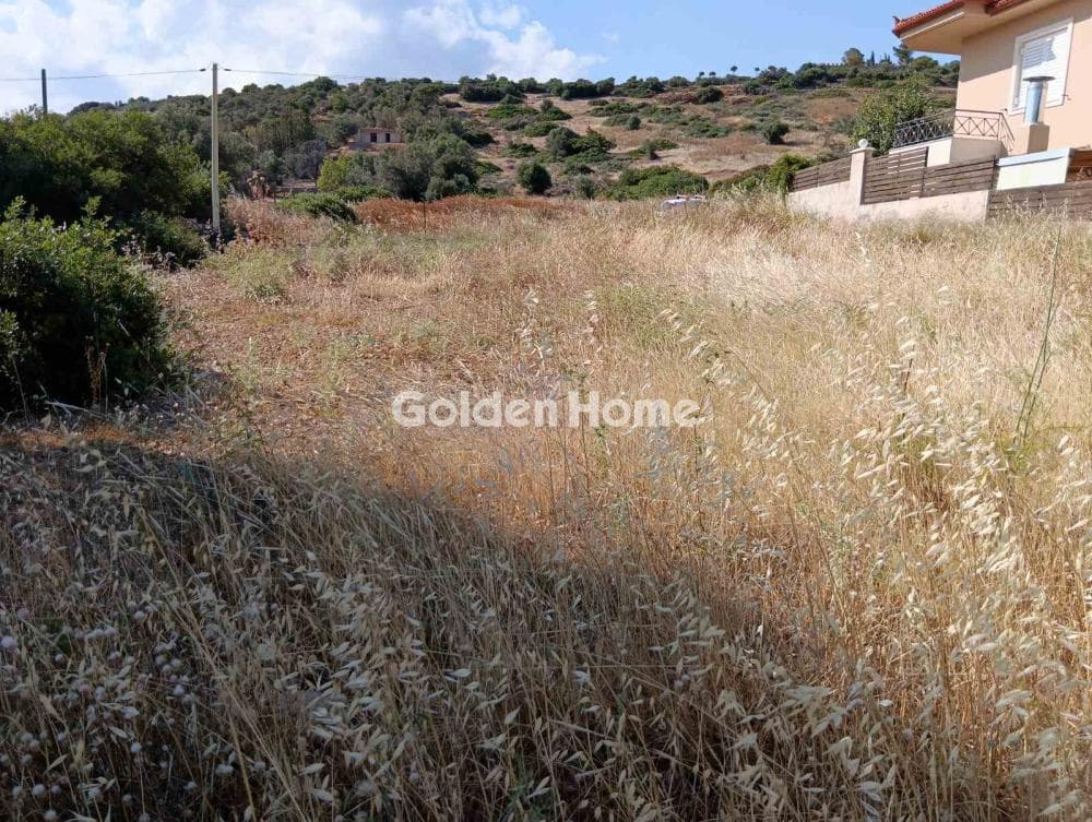 Αγροτεμάχιο στην Λαμπρικά, Κορωπί — Φωτογραφία 7 από 8