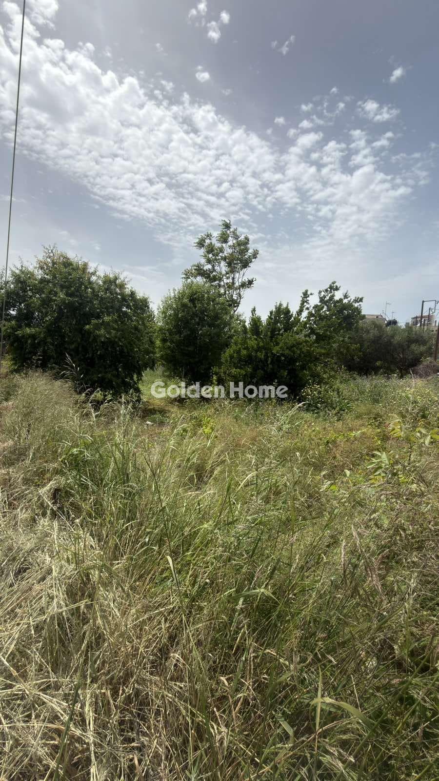 Building Plot in Kato Kalesia, Temenos — Photo 1 of 9