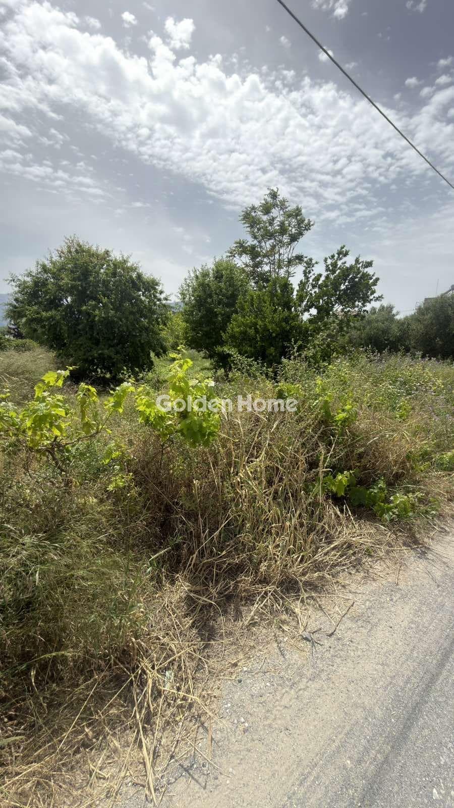 Building Plot in Kato Kalesia, Temenos — Photo 7 of 9