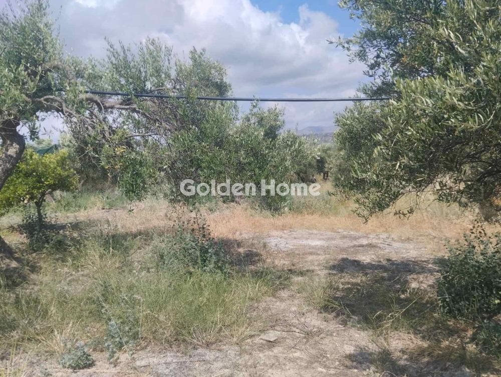 Οικόπεδο στην Άγιος Σύλλας, Αρχάνες — Φωτογραφία 3 από 8
