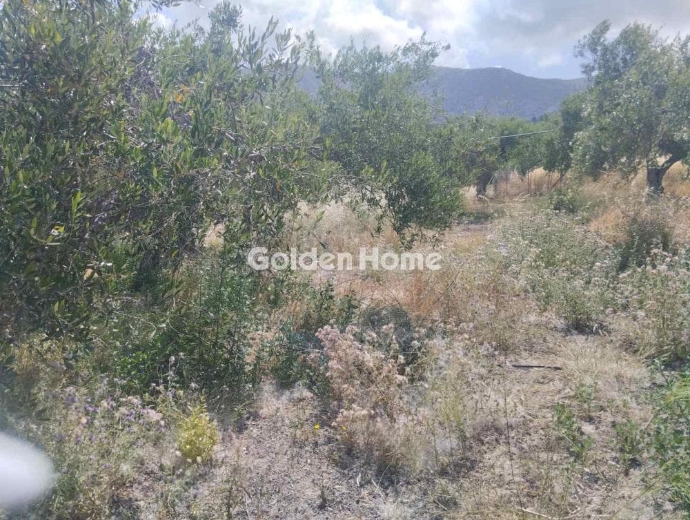 Οικόπεδο στην Άγιος Σύλλας, Αρχάνες — Φωτογραφία 4 από 8
