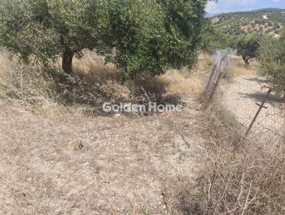Οικόπεδο στην Άγιος Σύλλας, Αρχάνες — Φωτογραφία 7 από 8