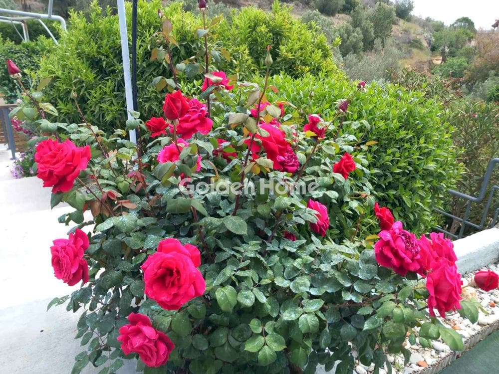 Μονοκατοικία στην Σάκκα, Κερατέα — Φωτογραφία 21 από 71
