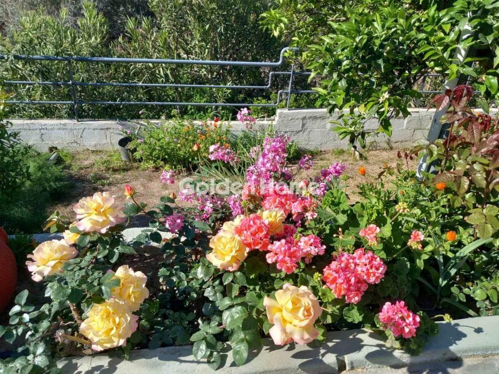Μονοκατοικία στην Σάκκα, Κερατέα — Φωτογραφία 57 από 71