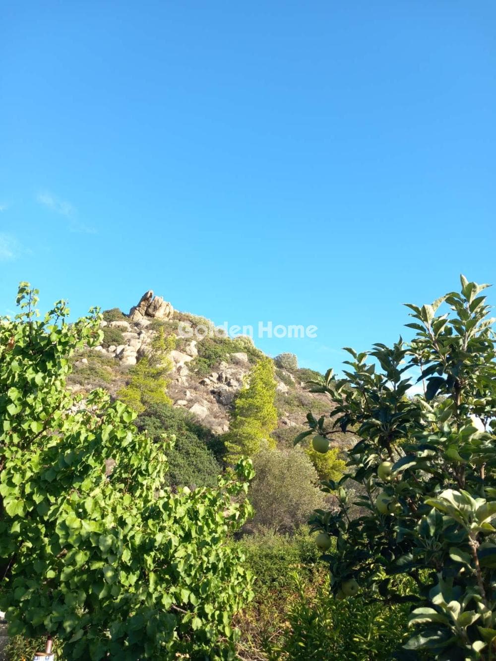 Μονοκατοικία στην Σάκκα, Κερατέα — Φωτογραφία 70 από 71