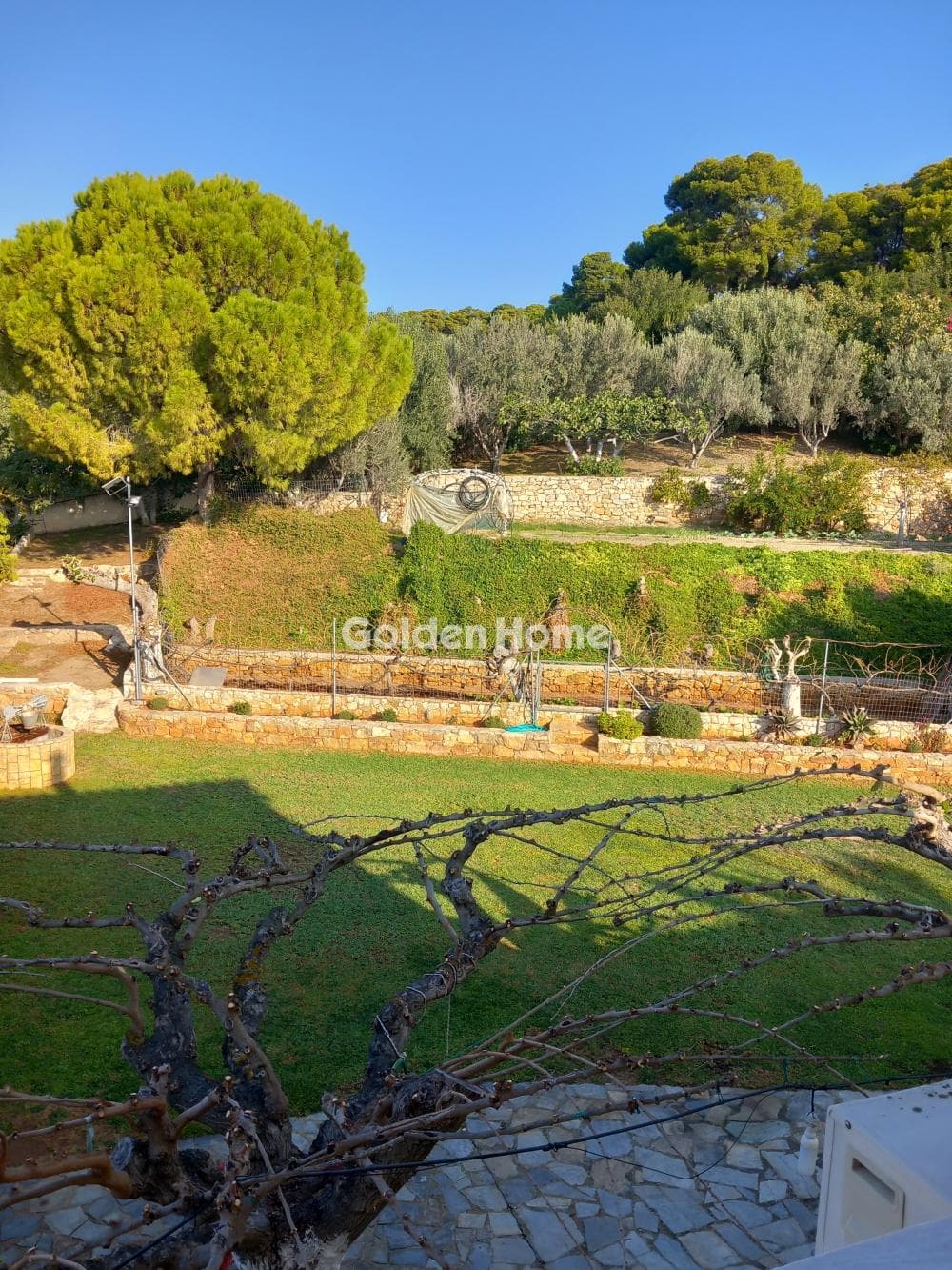 Building Plot in Agia Triada, Markopoulo — Photo 2 of 14