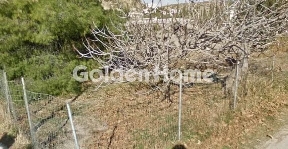 Building Plot in Kalivia, Kalivia Thorikou — Photo 2 of 2