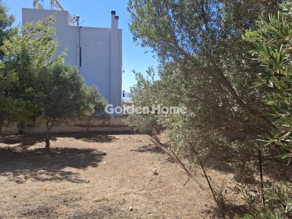 Οικόπεδο στην Κέντρο, Λαύριο — Φωτογραφία 4 από 5