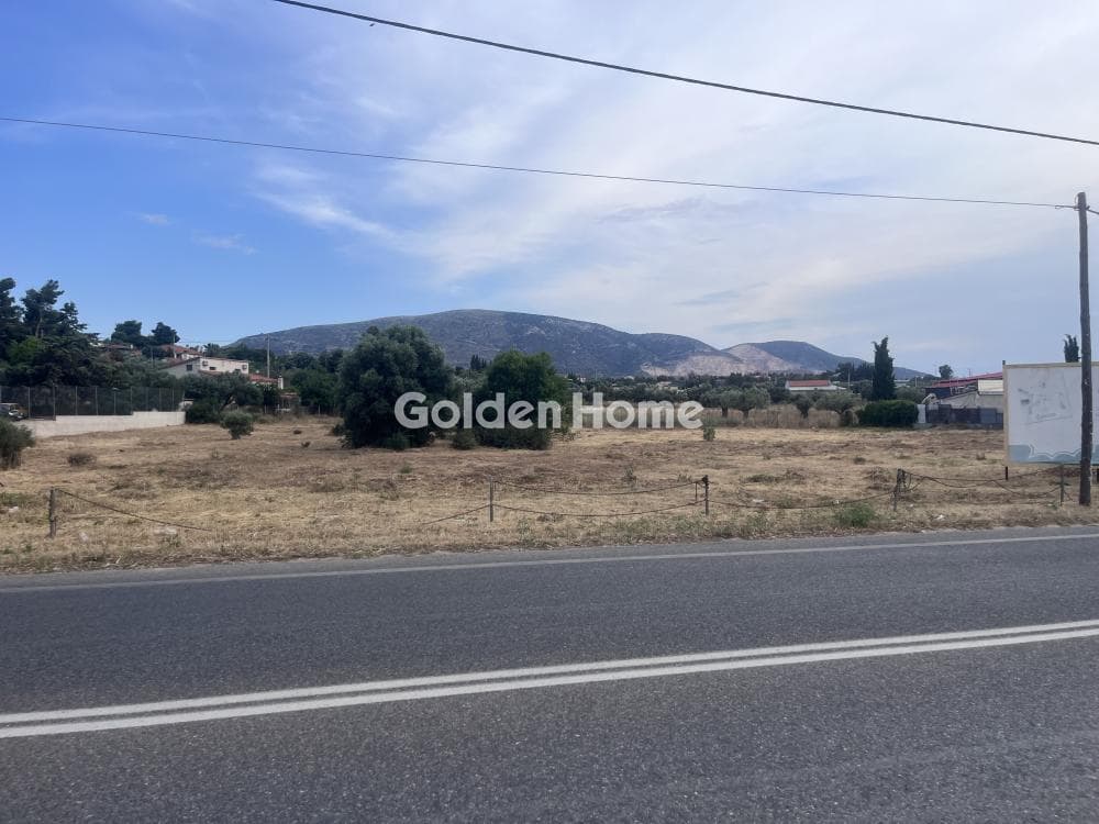 Building Plot in Agia Triada, Markopoulo — Photo 1 of 5