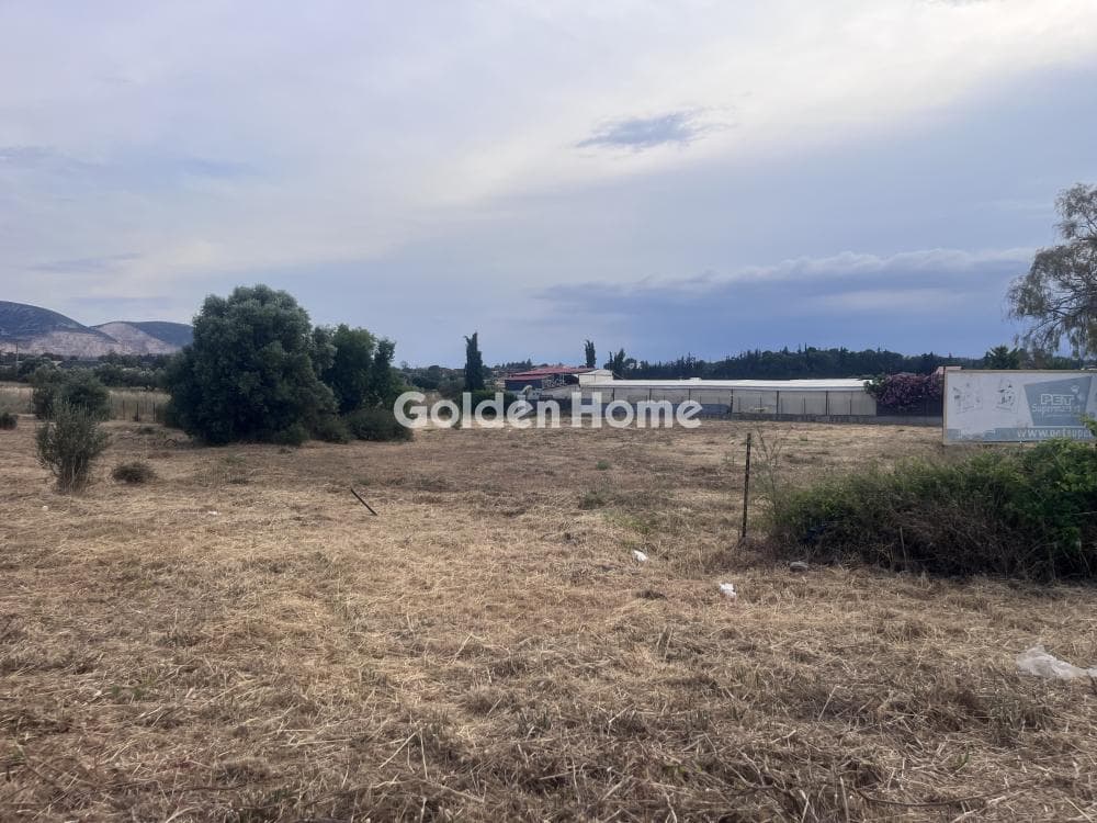Building Plot in Agia Triada, Markopoulo — Photo 3 of 5
