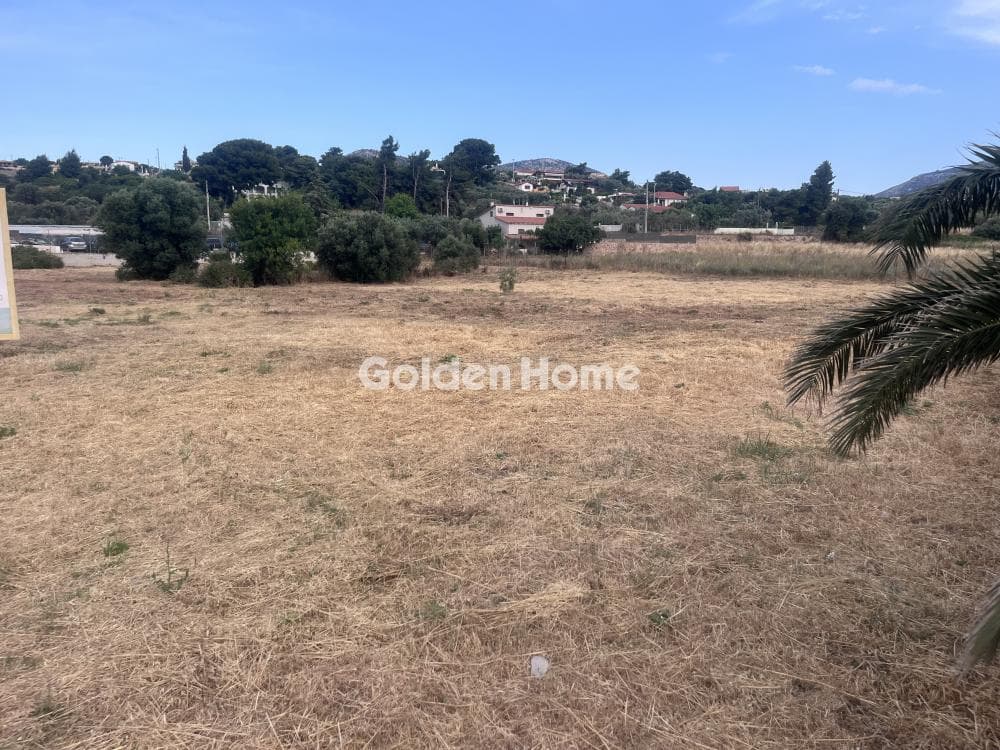 Building Plot in Agia Triada, Markopoulo — Photo 4 of 5