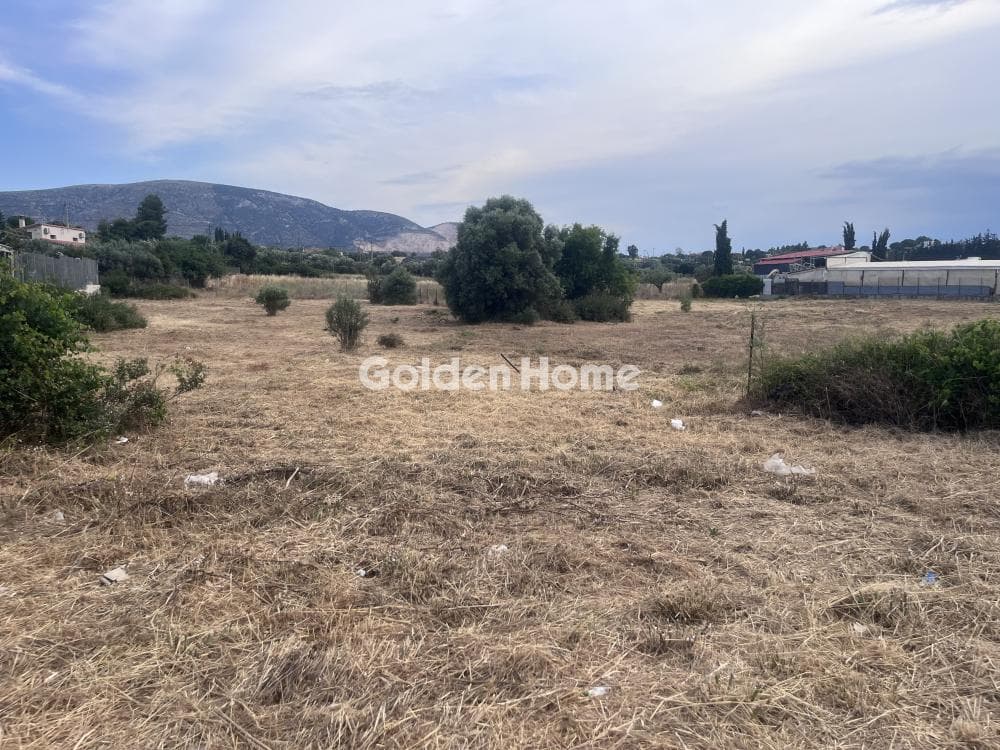 Building Plot in Agia Triada, Markopoulo — Photo 5 of 5
