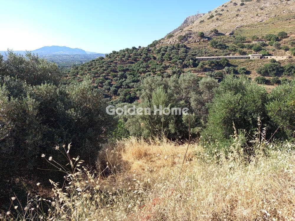 Αγροτεμάχιο στην Λινοπεράματα, Γάζι — Φωτογραφία 3 από 3