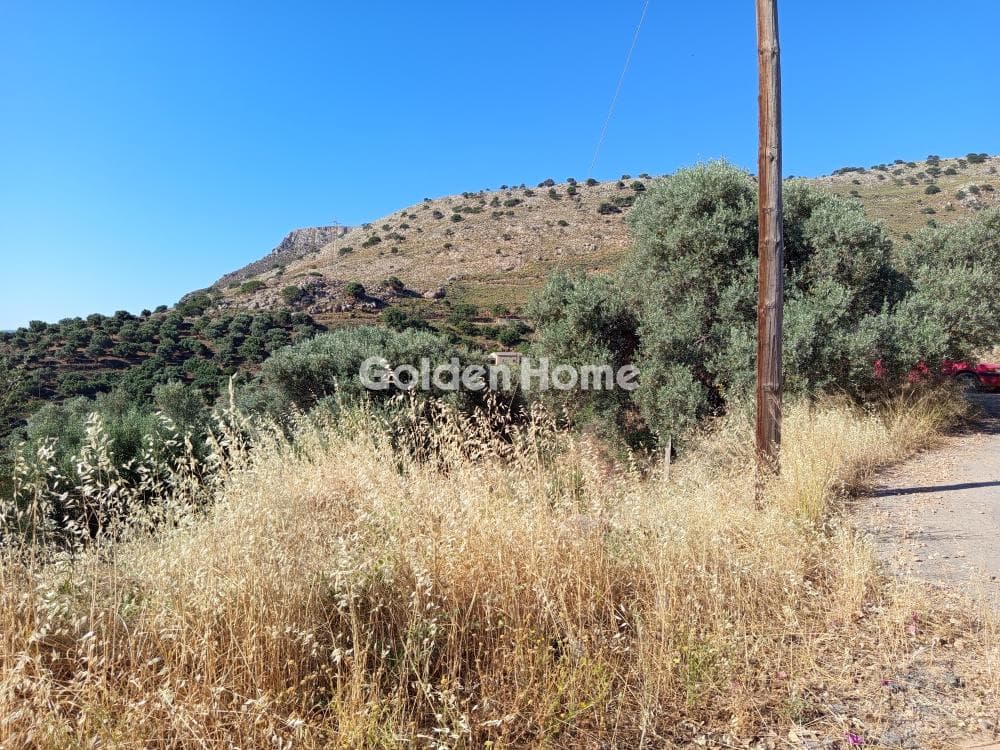 Αγροτεμάχιο στην Λινοπεράματα, Γάζι — Φωτογραφία 2 από 3