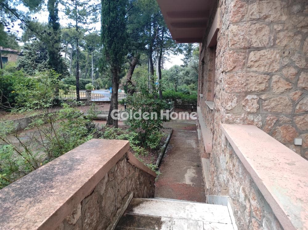 House in Adames Oikismos Peloponnision, Kifisia — Photo 39 of 55