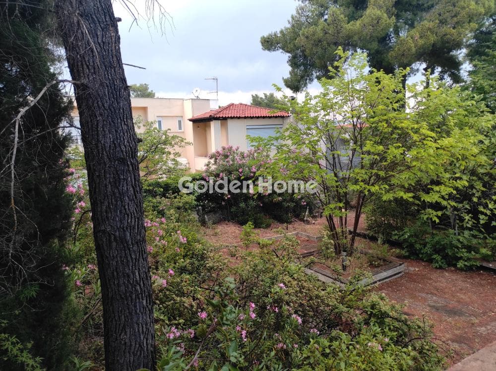 House in Adames Oikismos Peloponnision, Kifisia — Photo 44 of 55