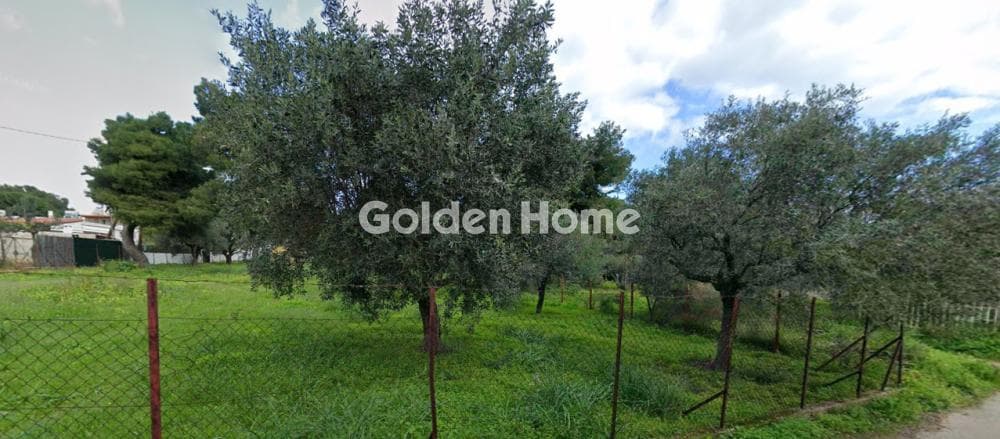 Οικόπεδο στην Άγιος Μηνάς, Αρτέμιδα (Λούτσα) — Φωτογραφία 1 από 2