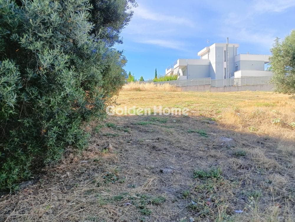 Οικόπεδο στην Νεάπολη, Σπάτα — Φωτογραφία 3 από 6