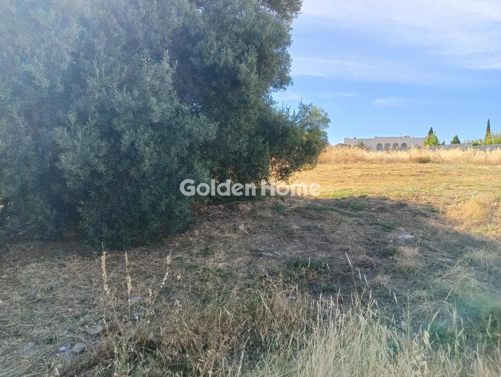 Οικόπεδο στην Νεάπολη, Σπάτα — Φωτογραφία 4 από 6