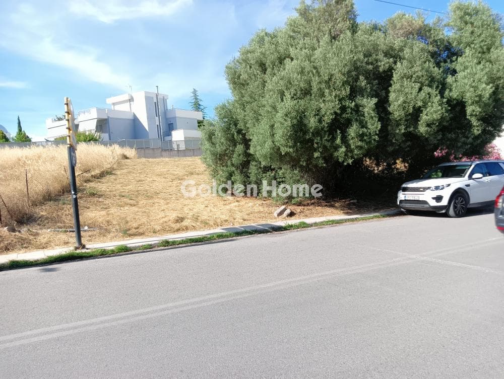 Οικόπεδο στην Νεάπολη, Σπάτα — Φωτογραφία 6 από 6