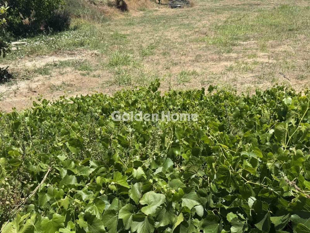 Building Plot in Skalani, Episkopi — Photo 3 of 9