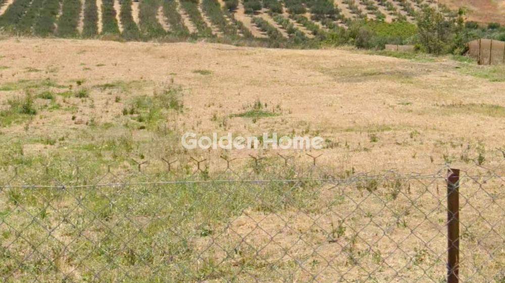 Οικόπεδο στην Βασιλείες, Αρχάνες — Φωτογραφία 2 από 2