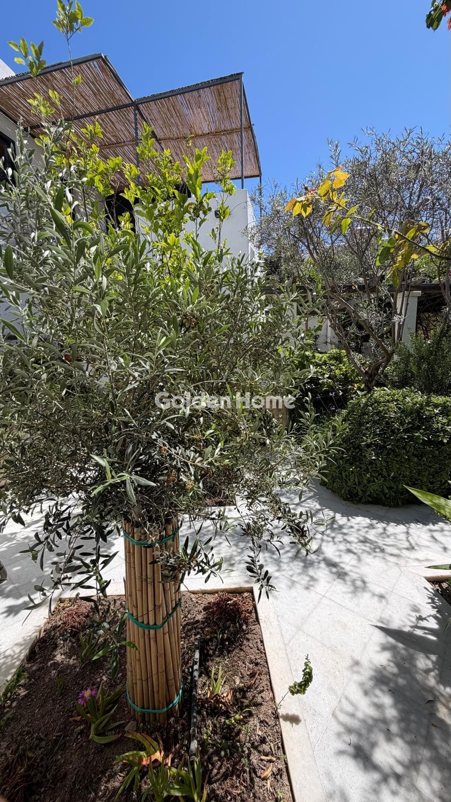 Μονοκατοικία στην Παροικιά, Πάρος — Φωτογραφία 45 από 47