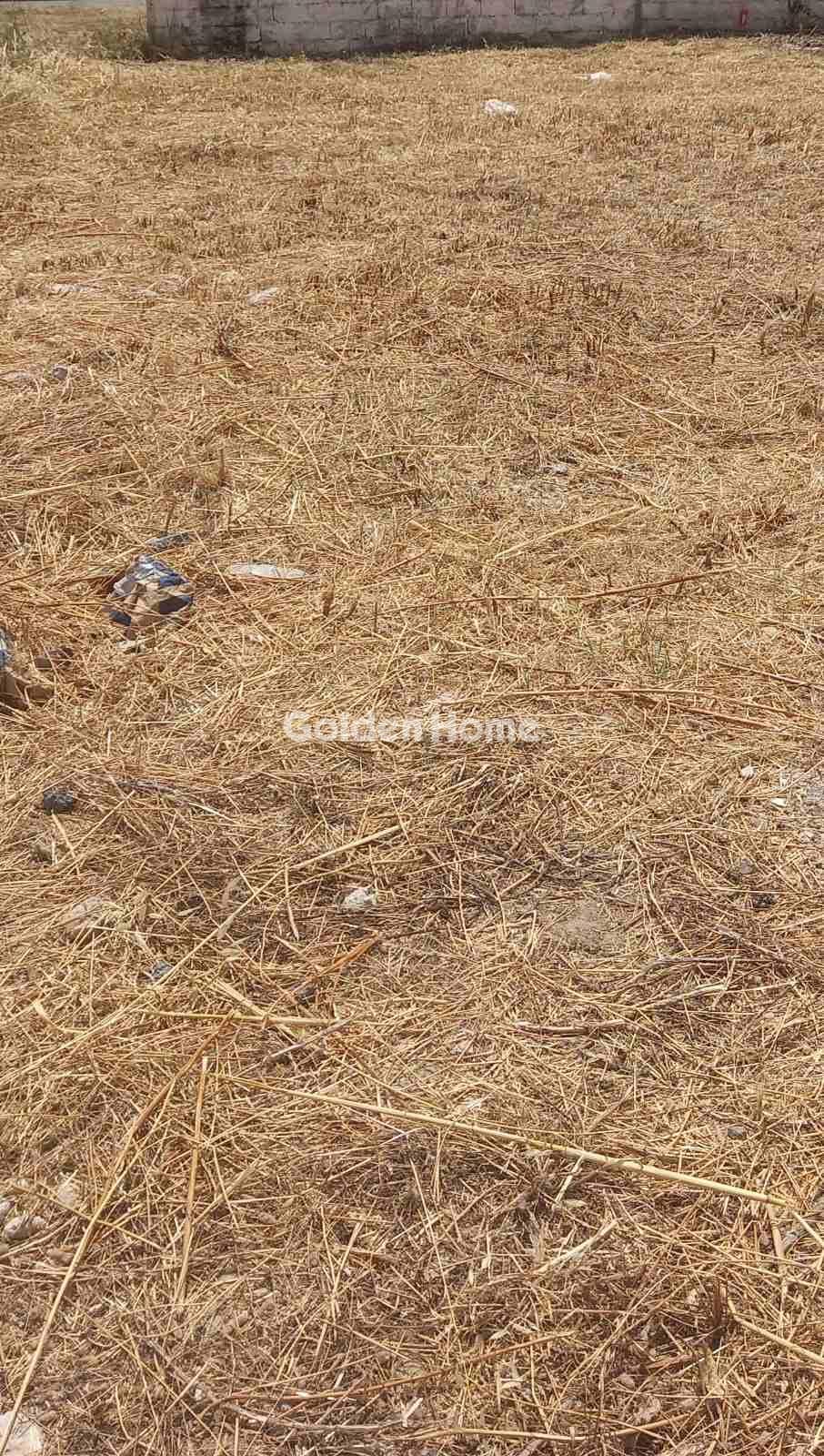 Οικόπεδο στην Ανάληψη, Αγιοι Ανάργυροι — Φωτογραφία 1 από 2