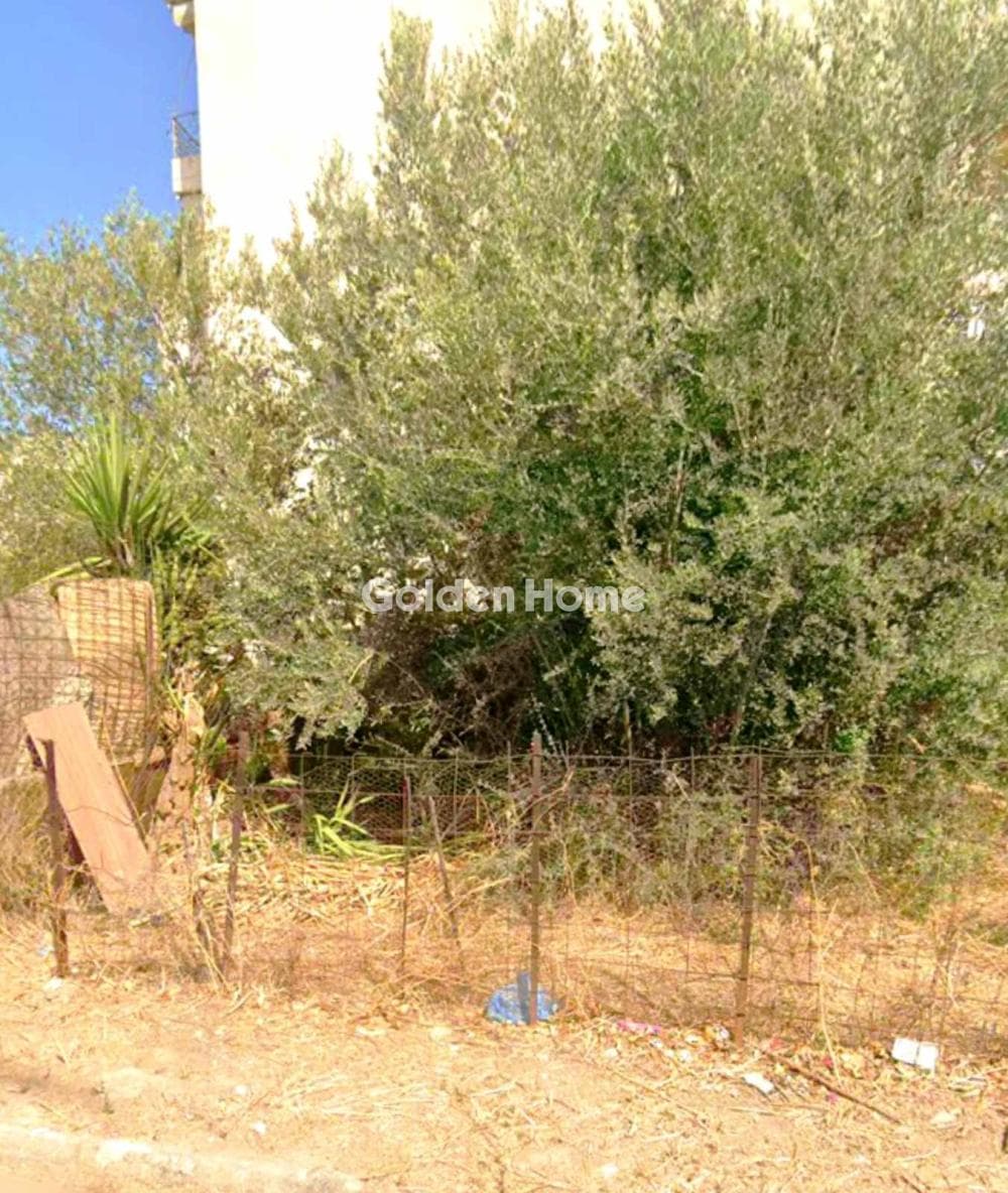 Building Plot in Zefiri, Zefiri — Photo 1 of 3