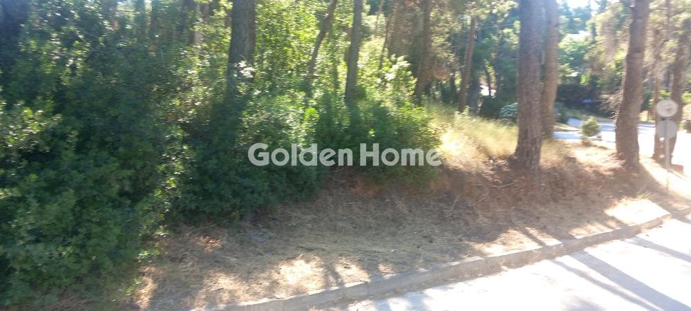 Οικόπεδο στην Αδάμες (Οικισμός Πελοποννησίων), Κηφισιά — Φωτογραφία 3 από 9