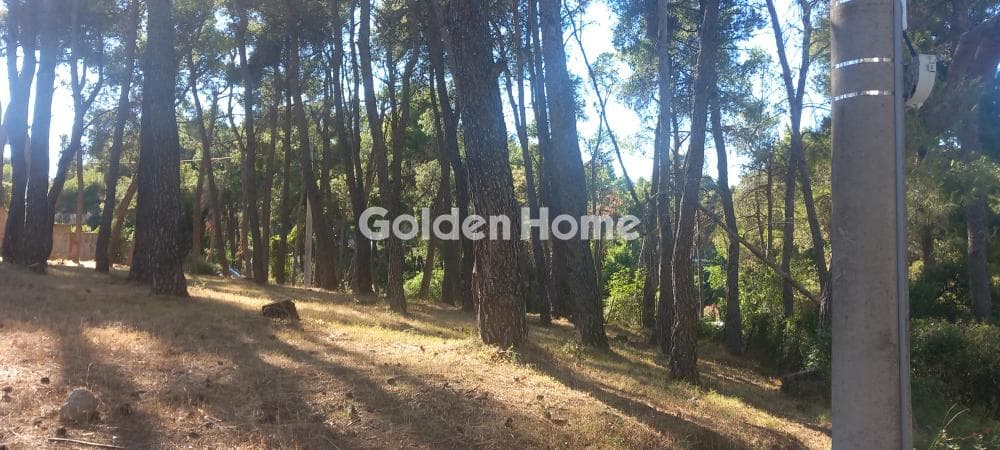 Οικόπεδο στην Αδάμες (Οικισμός Πελοποννησίων), Κηφισιά — Φωτογραφία 6 από 9