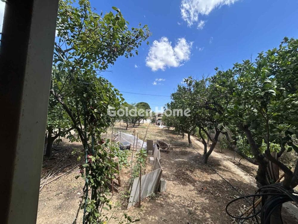 House in Agia Marina, Paiania — Photo 9 of 16