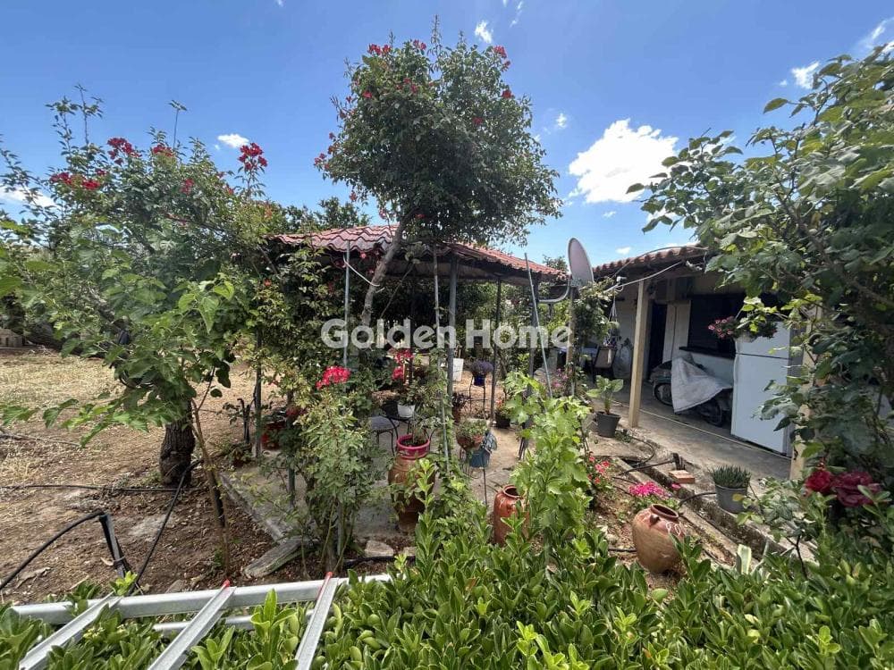House in Agia Marina, Paiania — Photo 2 of 16