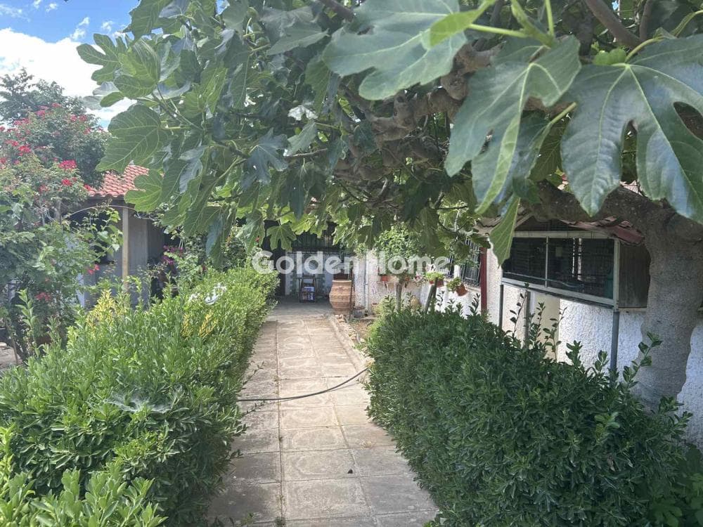 House in Agia Marina, Paiania — Photo 5 of 16