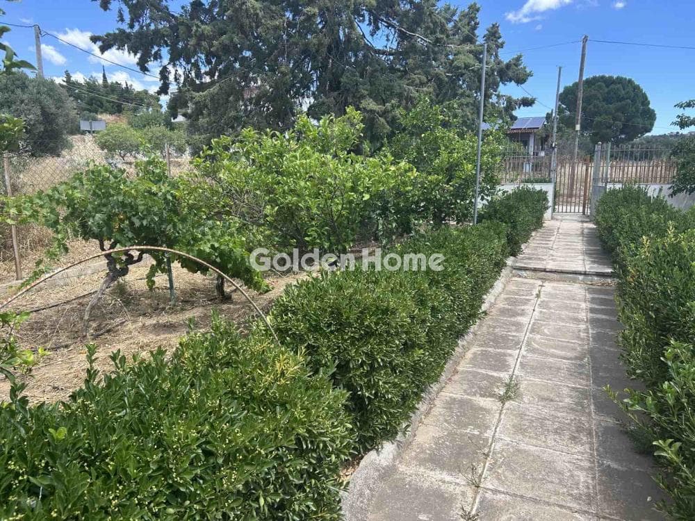House in Agia Marina, Paiania — Photo 15 of 16