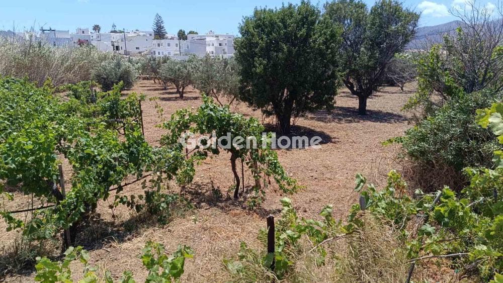 Οικόπεδο στην Μάρμαρα, Πάρος — Φωτογραφία 4 από 7