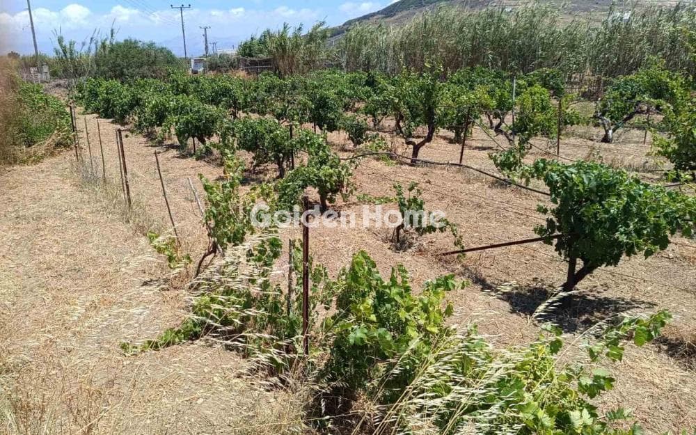 Οικόπεδο στην Μάρμαρα, Πάρος — Φωτογραφία 5 από 7
