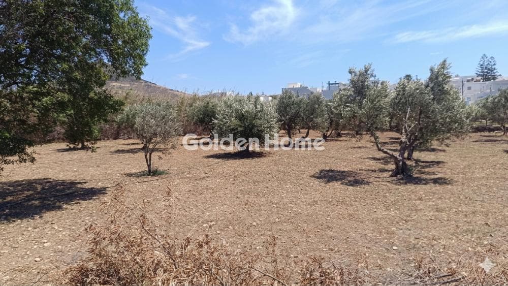 Οικόπεδο στην Μάρμαρα, Πάρος — Φωτογραφία 6 από 7
